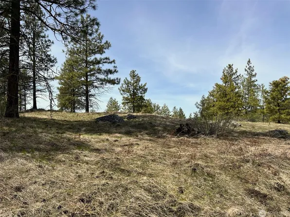 154 Cartwright Dr, Tonasket, WA 98855