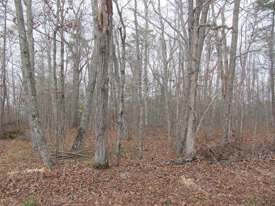 2nd image of 101 Amherst Dr