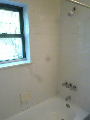 Rented by DSA Realty Midtown West | media 15