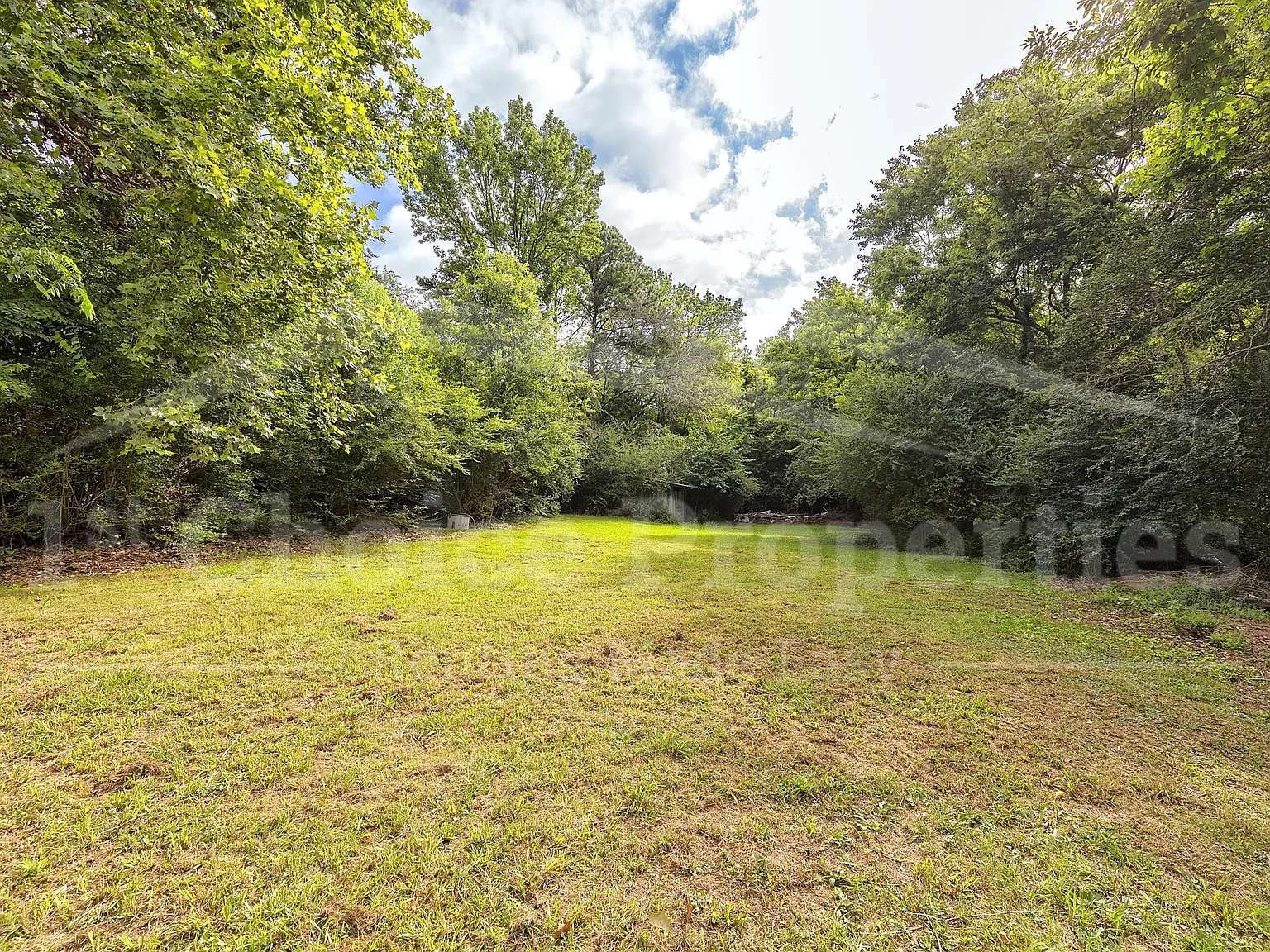 2117 3rd Street NE, Center Point, AL - 1 — Photo 4