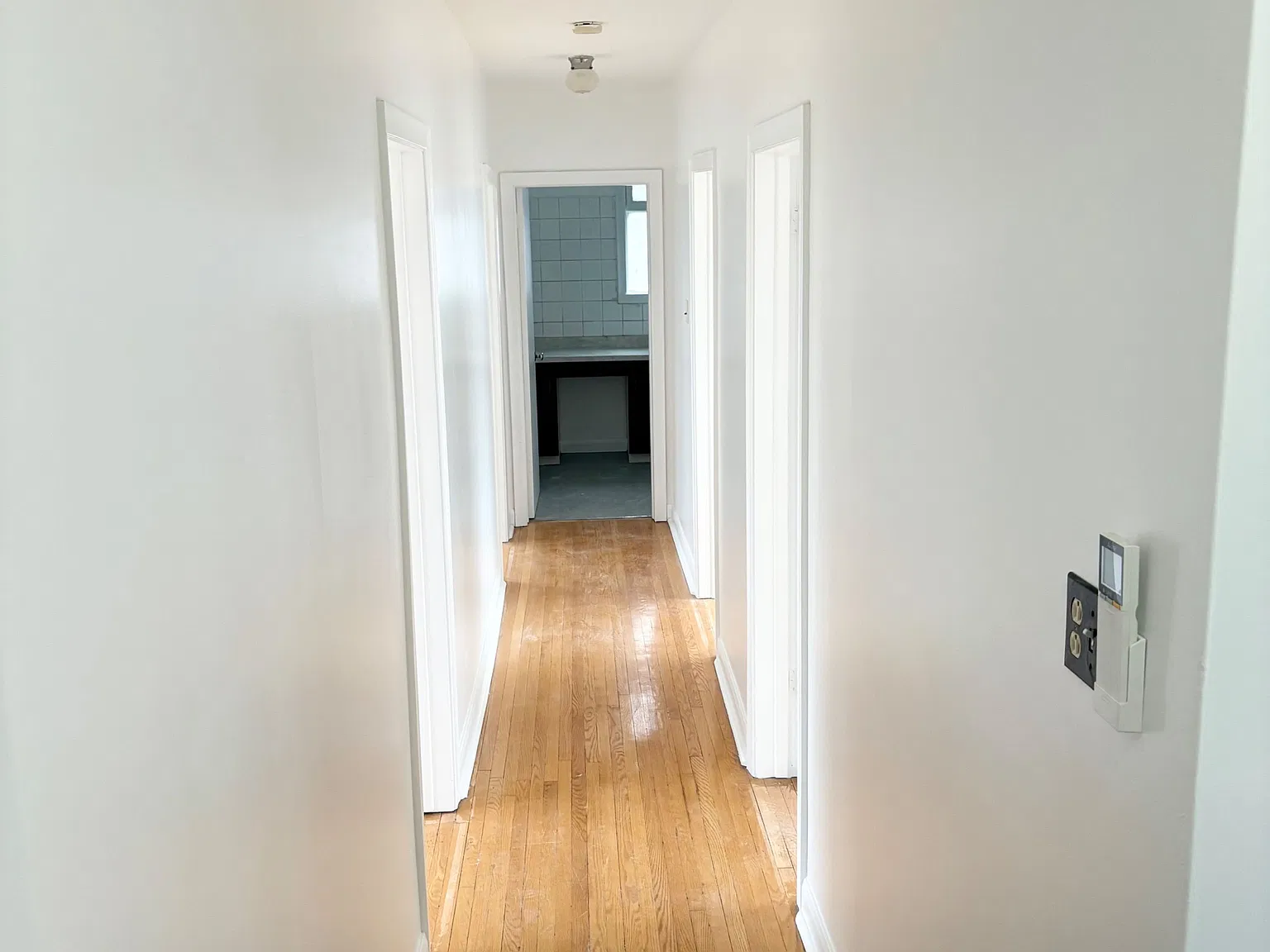 1 bed, $900 — Photo 3