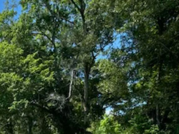 3rd image of Tbd Bernard Ln