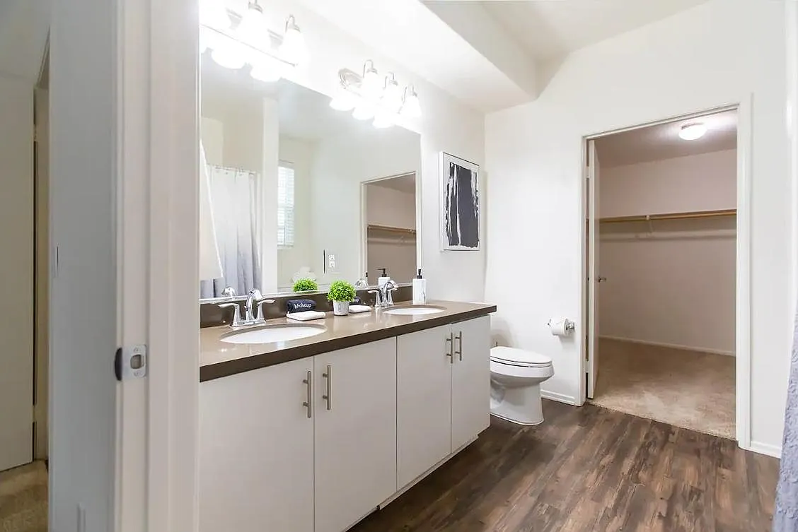 Paloma Apartment Homes — Photo 4