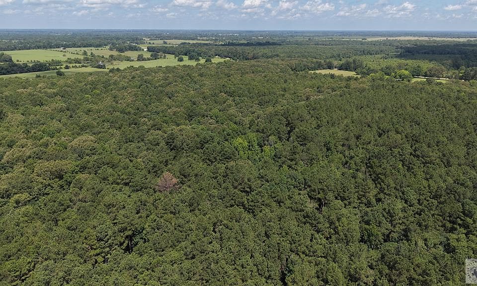 1st image of TRACT 2 County Road 4320
