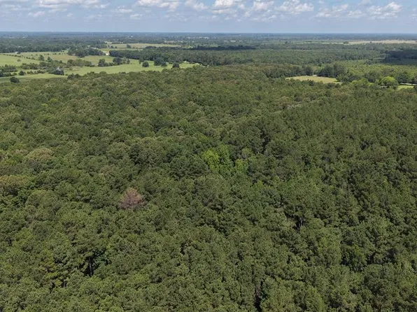 TRACT 2 County Road 4320, De Kalb, TX 75559