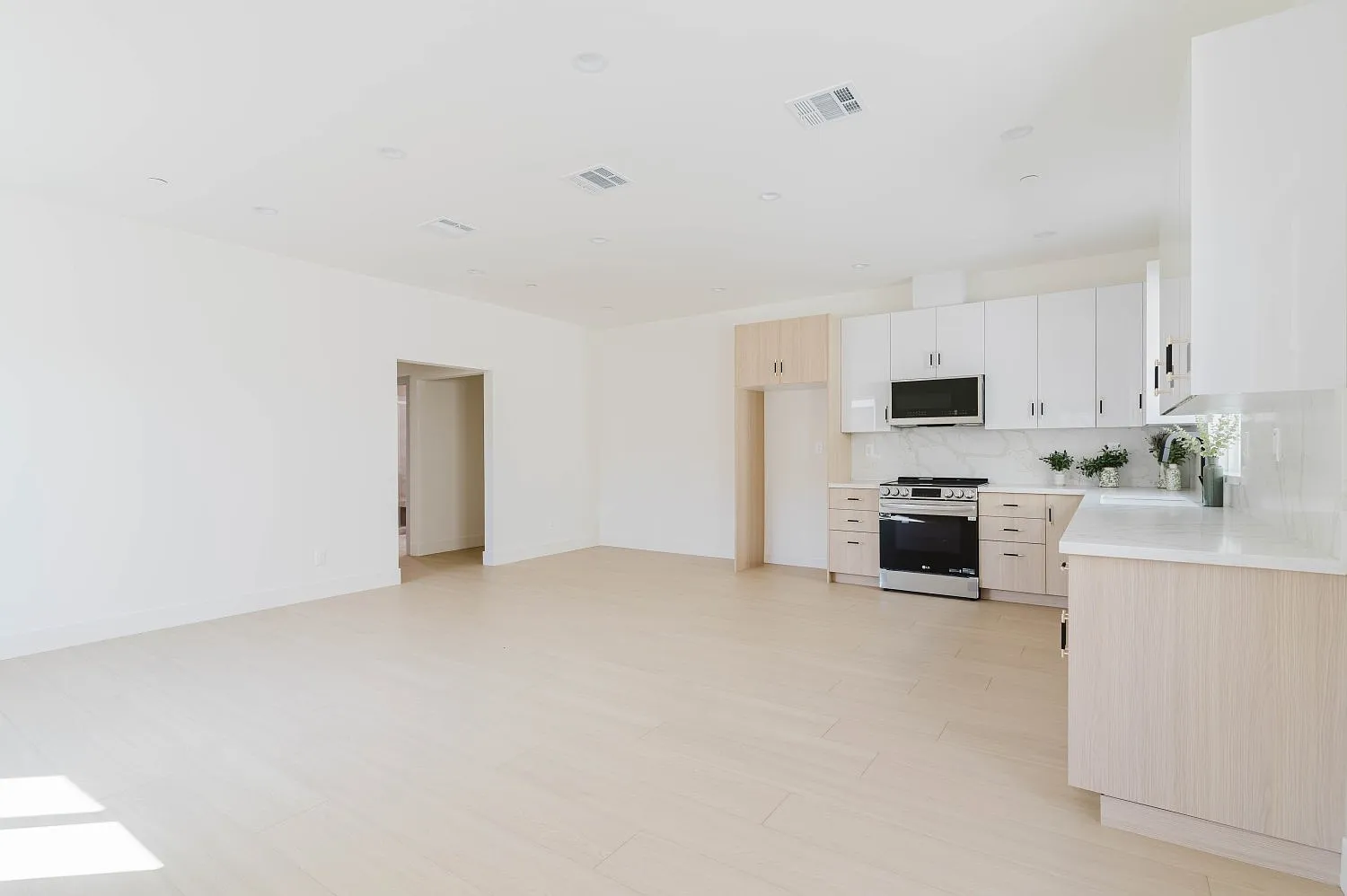 2 bed, 1000 sqft, $3,200 — Photo 3