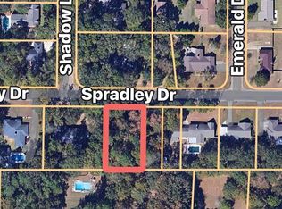 206 Spradley Dr, Troy, AL 36079