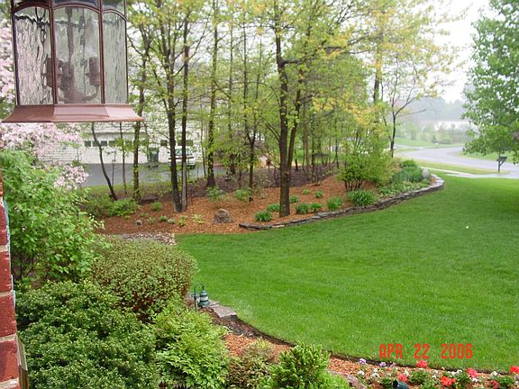 Professional Landscape