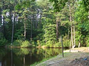 ANOTHER BANK OF POND