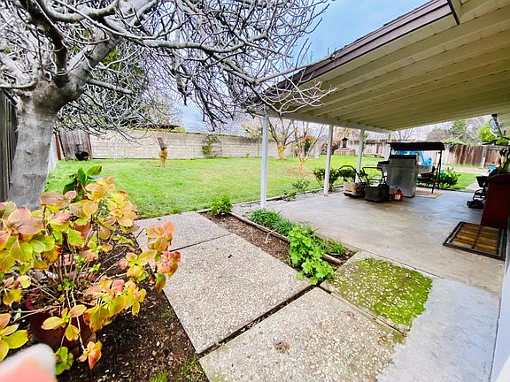 Covered patio and fruit trees