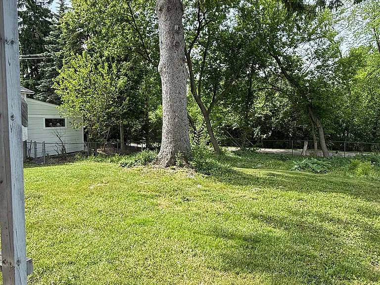 Back yard