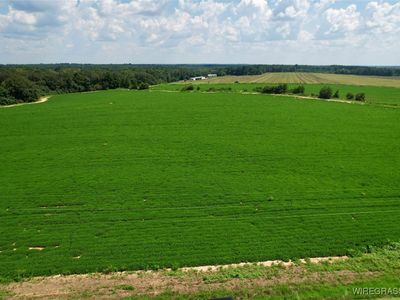 0 Judge Logue Rd, Newton, AL, 36352