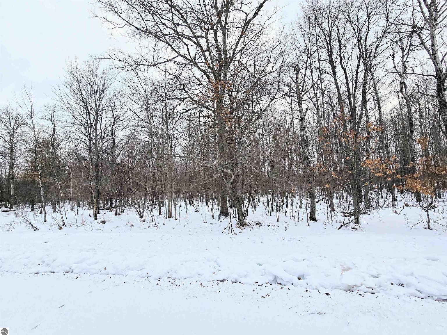 6 Fairway Ct