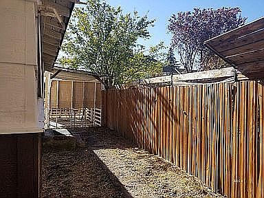 Backyard & Wood shed /coveredPatio