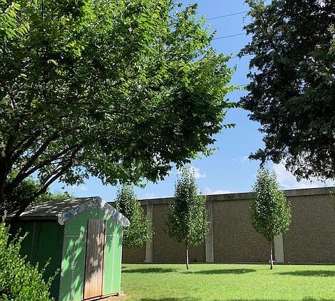 Large backyard with a shed.