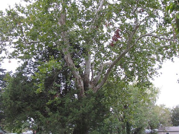 5th image of 000 N Traller Street