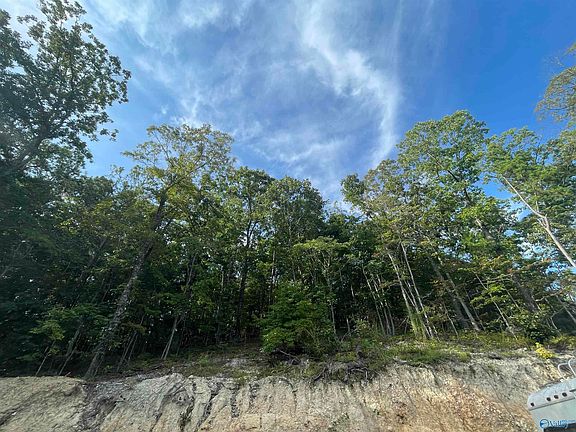 2nd image of 797 Dripping Rock Rd