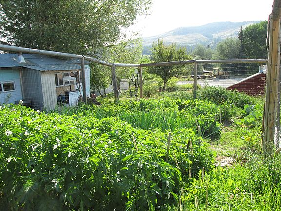The fenced in garden area