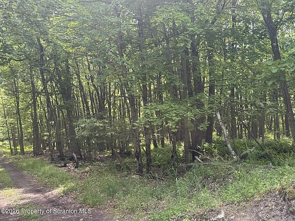 4th image of 220 Salem Mountain Rd