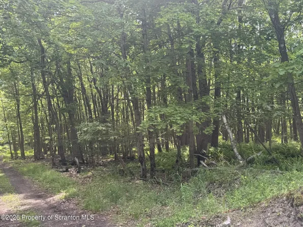 60 Laurel St, Carbondale, PA 18407