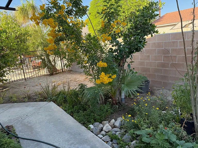 33965 Sky Blue Water Trl #B — Photo 36