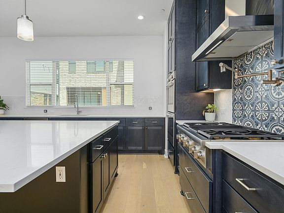 Designer backsplash with pot filler.