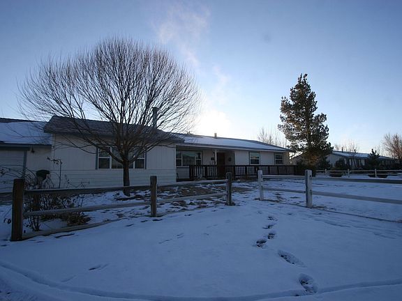 Front view in snow