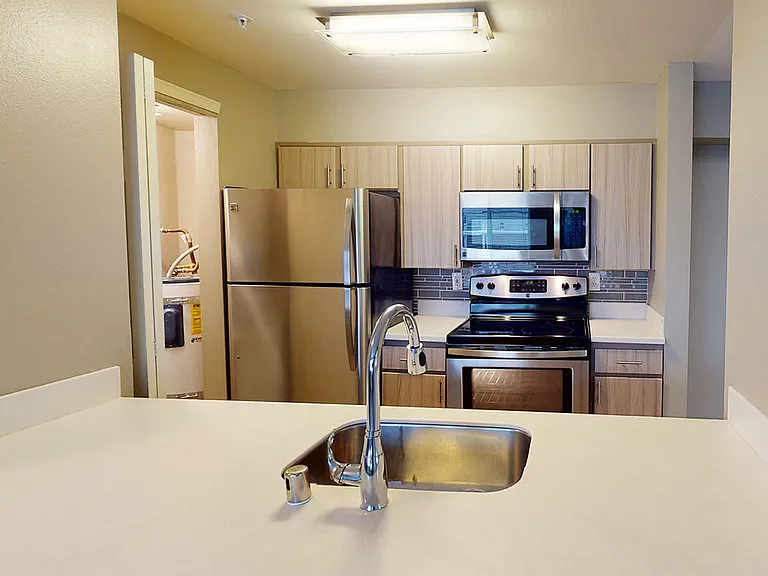 Apartment kitchen with stainless steel appliances, quartz countertops and wood-style flooring.