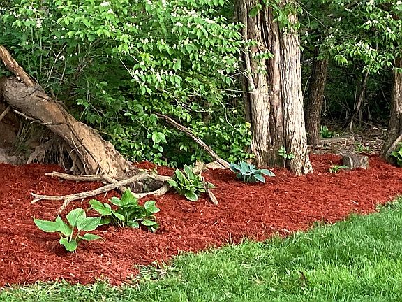 Annual Red mulch border