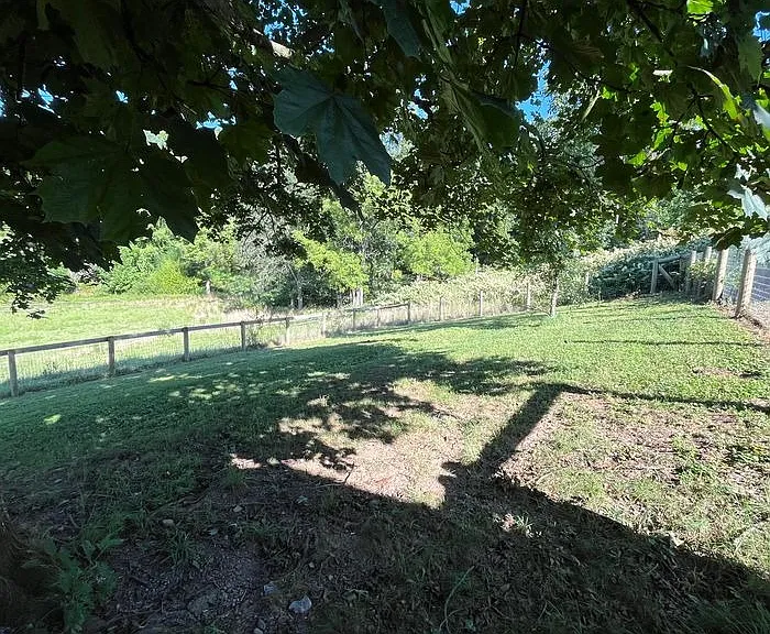 Kutz Farm Dr — Photo 10