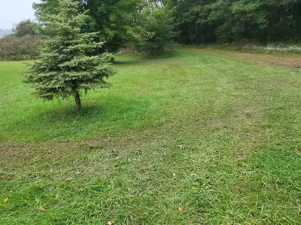 9394 Slattery Rd, Marlette, MI 48453