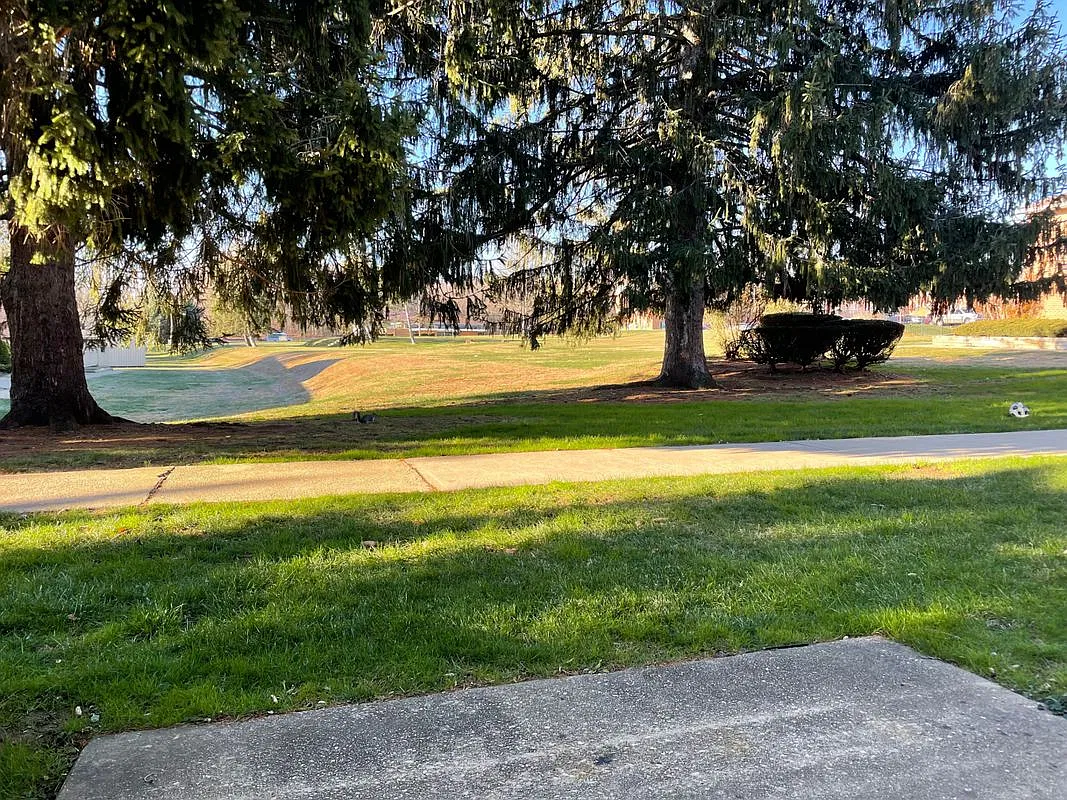 2 bed, 1.0 bath, 766 sqft, $1,300 — Photo 4