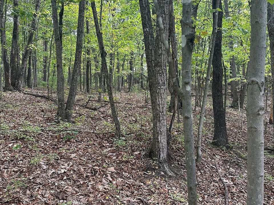 2nd image of Mallard Dr #40