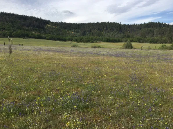 1741 Farmer Ranch Rd, Hayfork, CA 96041
