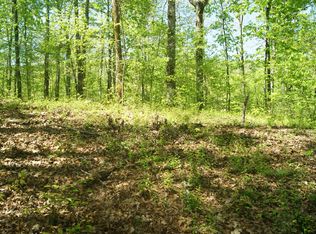 1432 Reagan Valley Rd LOT 1, Tellico Plains, TN 37385