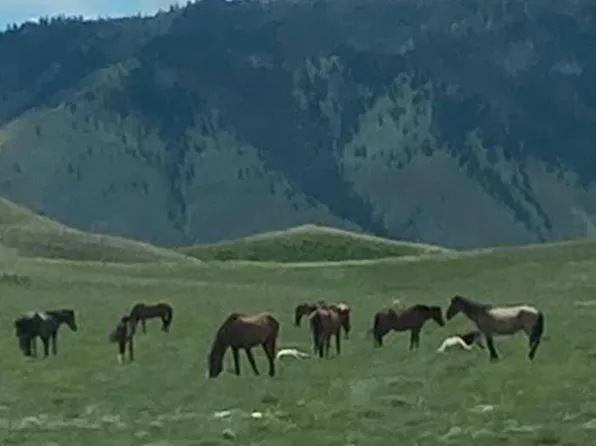 75 Wild Horse Ranch Rd, Laramie, WY 82070