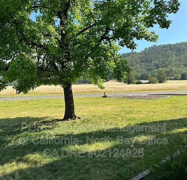 170 Gobalet Ln — Photo 6