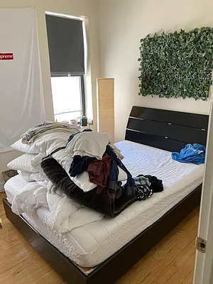 Rented by Urban Pads | media 33
