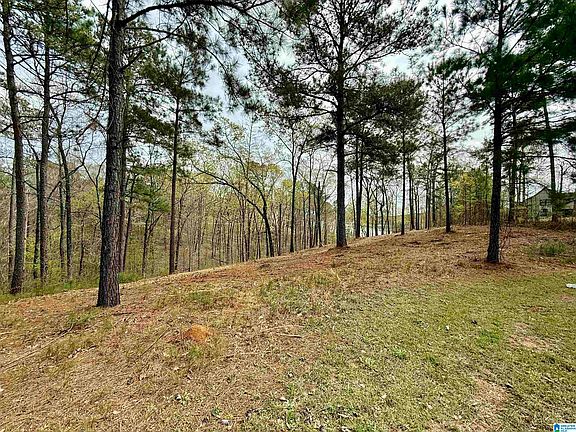 3rd image of Stillwaters Trl Lot 160