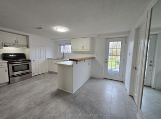 276 Walter Dr #BASEMENT, Georgina, ON L4P 3A7
