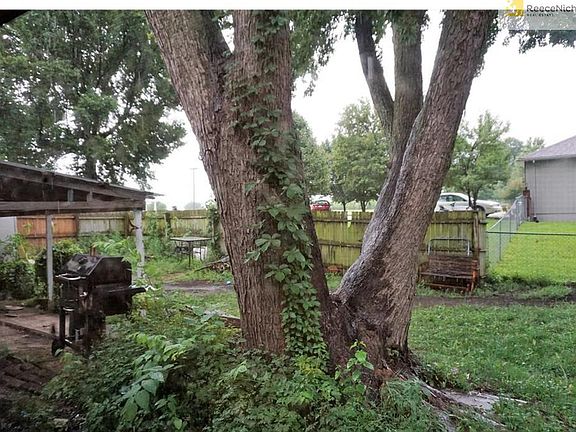 Large shade tree in fenced back yard.