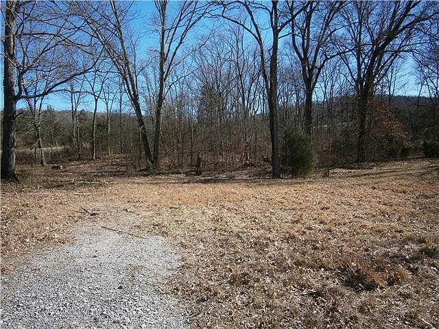 2nd image of 465 Spring Creek Rd Lot 2