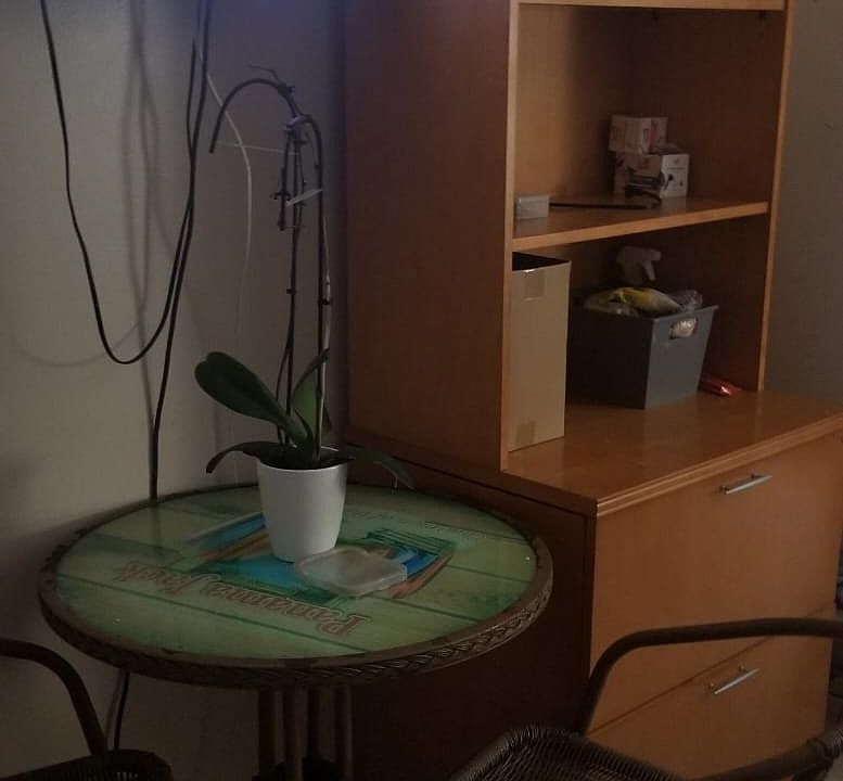 2nd image of 18335 Collins Ave #161E