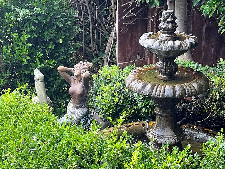 Bird bath and fountain on the lower level back yard that attracts hummingbirds and sparrows all day