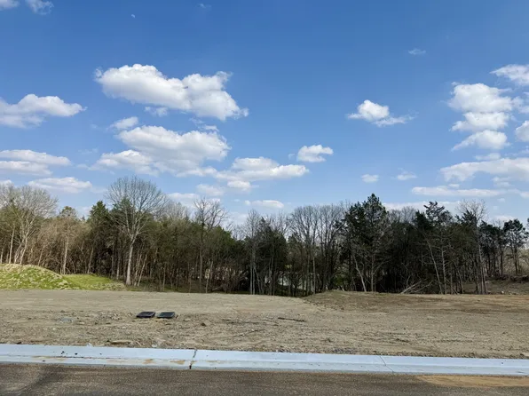 510 Saint Charles Dr, Arrington, TN 37014