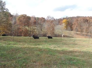 834 N Brace Rd, Summertown, TN 38483