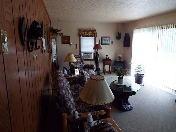 2nd image of N9086 Chip N Dale Dr #27