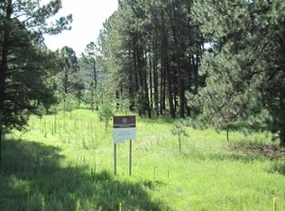 1102 Mechem Dr, Ruidoso, NM 88345