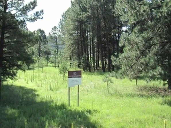 1102 Mechem Dr, Ruidoso, NM 88345