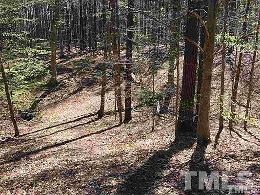 2nd image of 0 Piney Creek Ln